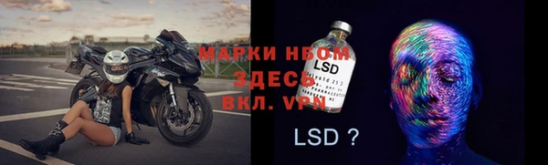 прущие грибы Верея