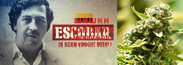 MDMA Волоколамск
